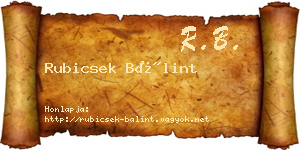 Rubicsek Bálint névjegykártya