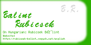 balint rubicsek business card